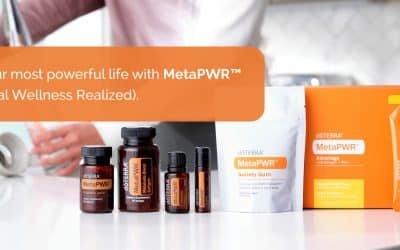 MetaPwr