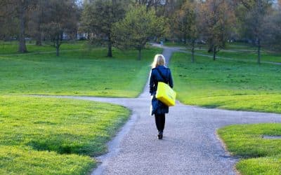 Path of education